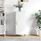 vidaXL - Dressoir - 34,5x34x90 - cm - bewerkt - hout - wit