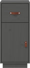vidaXL - Dressoir - 34x40x75 - cm - massief - grenenhout - grijs