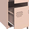 vidaXL - Dressoir - 35x39x73,5 - cm - koudgewalst - staal - roze