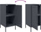 vidaXL - Dressoir - 36x39x79 - cm - staal - antracietkleurig