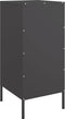 vidaXL - Dressoir - 36x39x79 - cm - staal - zwart