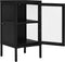 vidaXL - Dressoir - 38x35x70 - cm - staal - en - glas - zwart