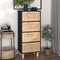 vidaXL - Dressoir - 40x30x90 - cm - massief - grenen - hout - en - rattan - zwart