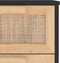 vidaXL - Dressoir - 40x30x90 - cm - massief - grenen - hout - en - rattan - zwart