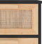 vidaXL - Dressoir - 40x30x90 - cm - massief - grenen - hout - en - rattan - zwart