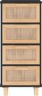 vidaXL - Dressoir - 40x30x90 - cm - massief - grenen - hout - en - rattan - zwart