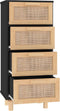 vidaXL - Dressoir - 40x30x90 - cm - massief - grenen - hout - en - rattan - zwart
