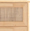 vidaXL - Dressoir - 40x30x90 - cm - massief - grenenhout - en - rattan - bruin
