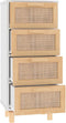 vidaXL - Dressoir - 40x30x90 - cm - massief - grenenhout - en - rattan - wit