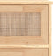 vidaXL - Dressoir - 40x30x90 - cm - massief - grenenhout - en - rattan - bruin