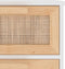 vidaXL - Dressoir - 40x30x90 - cm - massief - grenenhout - en - rattan - wit