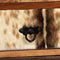 vidaXL - Dressoir - 50x30x86 - cm - massief - sheeshamhout