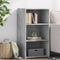 vidaXL - Dressoir - 50x41x93 - cm - bewerkt - hout - betongrijs