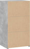 vidaXL - Dressoir - 50x41x93 - cm - bewerkt - hout - betongrijs