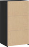 vidaXL - Dressoir - 50x41x93 - cm - bewerkt - hout - zwart