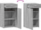 vidaXL - Dressoir - 50x42,5x93 - cm - bewerkt - hout - grijs - sonoma - eikenkleurig