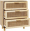 vidaXL - Dressoir - 60x30x70 - cm - massief - grenenhout - en - rattan - bruin