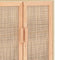 vidaXL - Dressoir - 60x30x70 - cm - massief - grenenhout - en - rattan - bruin