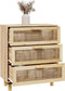 vidaXL - Dressoir - 60x30x70 - cm - massief - grenenhout - en - rattan - bruin