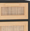 vidaXL - Dressoir - 60x30x75 - cm - massief - grenen - hout - en - rattan - zwart