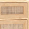 vidaXL - Dressoir - 60x30x75 - cm - massief - grenenhout - en - rattan - bruin