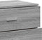 vidaXL - Dressoir - 60x39x80 - cm - bewerkt - hout - grijs - sonoma