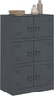 vidaXL - Dressoir - 67x39x107 - cm - staal - antracietkleurig