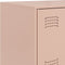 vidaXL - Dressoir - 67x39x107 - cm - staal - roze