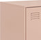 vidaXL - Dressoir - 67x39x107 - cm - staal - roze