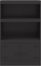 vidaXL - Dressoir - 67x39x107 - cm - staal - zwart
