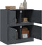 vidaXL - Dressoir - 67x39x73 - cm - staal - antracietkleurig