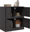 vidaXL - Dressoir - 67x39x73 - cm - staal - zwart