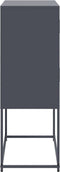 vidaXL - Dressoir - 68,5x38,5x107 - cm - staal - antracietkleurig