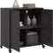 vidaXL - Dressoir - 68,5x39x72 - cm - staal - zwart