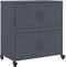 vidaXL - Dressoir - 68x39x72 - cm - staal - antracietkleurig