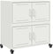 vidaXL - Dressoir - 68x39x72 - cm - staal - wit