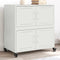 vidaXL - Dressoir - 68x39x72 - cm - staal - wit