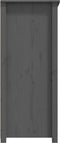 vidaXL - Dressoir - 83x41,5x100 - cm - massief - grenenhout - grijs
