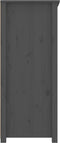 vidaXL - Dressoir - 83x41,5x100 - cm - massief - grenenhout - grijs