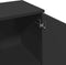vidaXL - Dressoir - 90,5x29,5x65 - cm - bewerkt - hout - zwart