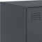 vidaXL - Dressoir - 99x39x73 - cm - staal - antracietkleurig