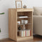 vidaXL - Dressoir - met - LED-verlichting - 41x37x67 - cm - sonoma - eikenkleurig