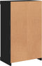 vidaXL - Dressoir - met - LED-verlichting - 60,5x37x100 - cm - zwart