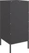 vidaXL - Dressoirs - 2 - st - 36x39x79 - cm - staal - zwart