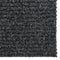 vidaXL - Droogloopmat - 100x200 - cm - antracietkleurig