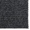 vidaXL - Droogloopmat - 100x450 - cm - antracietkleurig