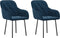 vidaXL - Eetkamerstoelen - 2 - st - fluweel - blauw