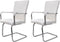 vidaXL - Eetkamerstoelen - 2 - st - kunstleer - wit