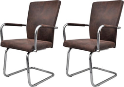 vidaXL - Eetkamerstoelen - 2 - st - luchtleer - bruin