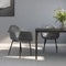 vidaXL - Eetkamerstoelen - 2 - st - PP - grijs